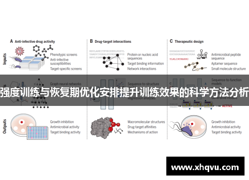 强度训练与恢复期优化安排提升训练效果的科学方法分析