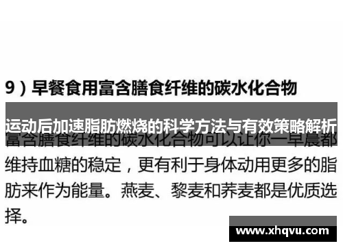 运动后加速脂肪燃烧的科学方法与有效策略解析
